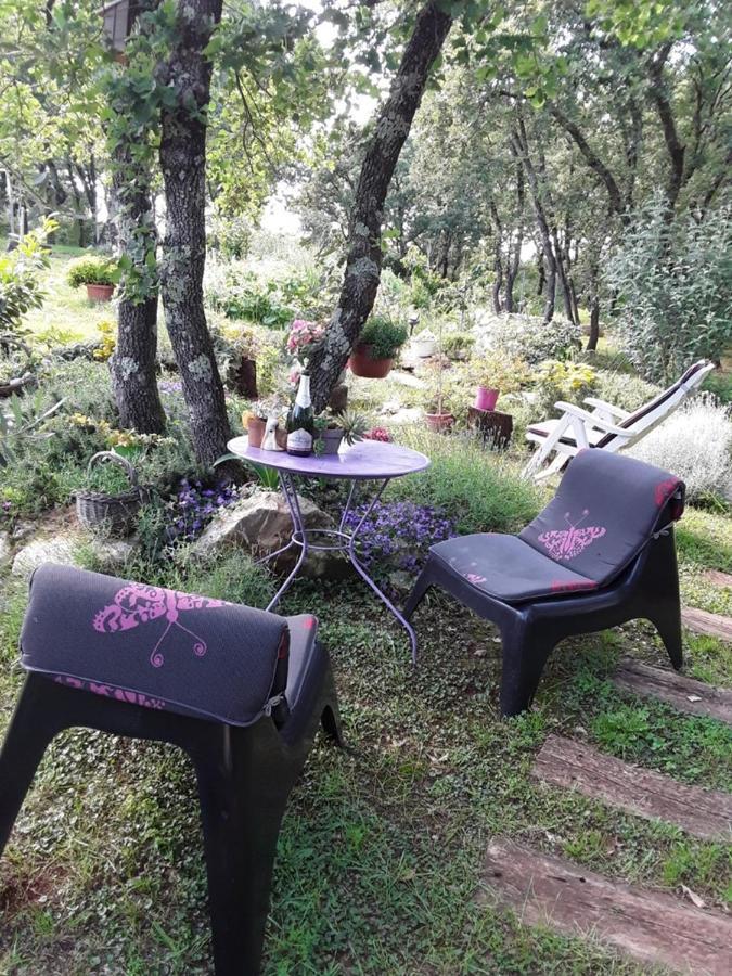 Apartments Bijou With Big Private Garden Near Umag Vilanija Esterno foto