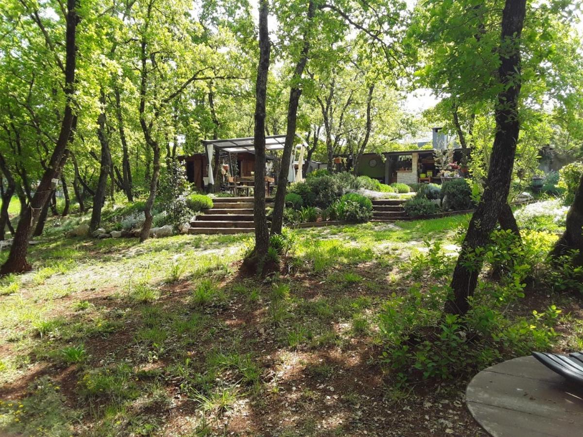 Apartments Bijou With Big Private Garden Near Umag Vilanija Esterno foto