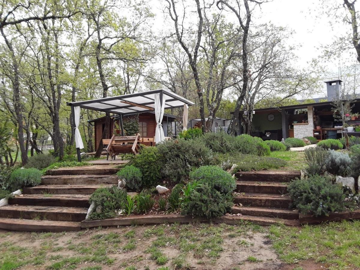 Apartments Bijou With Big Private Garden Near Umag Vilanija Esterno foto